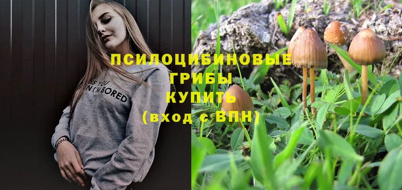 Псилоцибиновые грибы прущие грибы  где купить наркотик  Вуктыл 